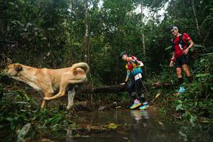 BIB: 
                            <button type="button" onclick="openModal(22489066)" class="btn btn-primary btn-sm float-right btn-popup" data-toggle="modal" data-target=".modal-high-quality">
                        <i class="fas fa-shopping-cart"></i> Add to Cart
                    </button>
                                            <button type="button" onclick="isThisMe(22489066, true)" class="btn btn-success btn-sm float-right btn-popup btn-isme hidden" data-toggle="tooltip" data-placement="bottom" title="นี่คือรูปของคุณใช่ไหม คลิกที่นี่เพื่อเอาเข้าอัลบั้ม">
                        <i class="fas fa-plus"></i> Add to album
                    </button>
                    <button type="button" onclick="isThisMe(22489066, false)" class="btn btn-warning btn-sm float-right btn-popup btn-isnotme hidden">
                        <i class="fas fa-ban"></i> Remove from album
                    </button>